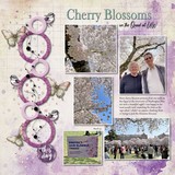 Designs by Laura Burger Designer Days Exclusive Bundle 03 - May 2025