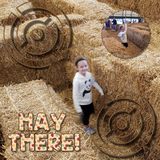 MagsGraphics Designer Days Exclusive Bundle 01 - May 2025