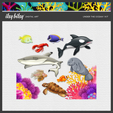 Itsy Bitsy Designer Days Exclusive Bundle - May 2025