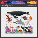 Itsy Bitsy Designer Days Exclusive Bundle - May 2025