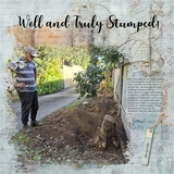 Aged Essence Masks Set 1