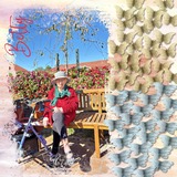 Aged Essence Masks Set 1