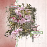 Aged Essence Masks Set 1