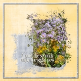 Aged Essence Masks Set 1