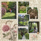 Jen Martakis Designs Designer Days Exclusive Bundle 02 - May 2025