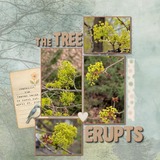 Jen Martakis Designs Designer Days Exclusive Bundle 02 - May 2025