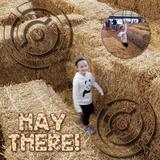 Everyday Circle Masks & Effects Set 3