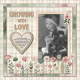 Blushing Blooms Bundle 2