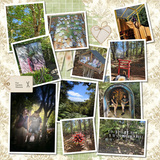 Blushing Blooms Bundle 2