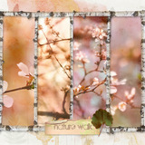 Arboretum Add-on Papers