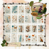 Arboretum Add-on Papers