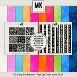 Chasing Sunbeams - PopUp Shop - June 2025