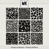 Chasing Sunbeams - PopUp Shop - June 2025