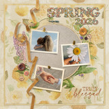 Rooted in Faith 5 Collection