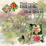 Artistic License Musings - Part 3