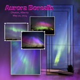 AlphaMania - Bold Neons