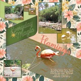 Summer Stories Bundle 1