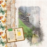 Summer Stories Bundle 1