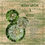 Summer Stories Bundle 2