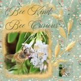 Summer Stories EZ Masks