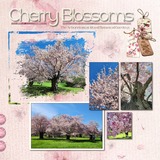 Across The Pond _ Japan Mega Bundle