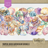 Tropical Beach Watercolor Seashells