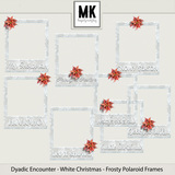 Dyadic Encounter - White Christmas - Frosty Polaroid Frames