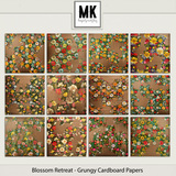 Blossom Retreat - Grungy Cardboard Papers