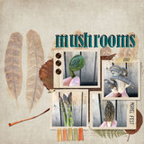 The Great Outdoors Collection