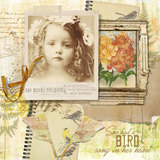 The Great Outdoors Collection