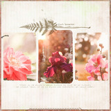 The Great Outdoors Collection