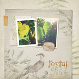 The Great Outdoors Collection