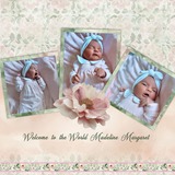Blushing Blooms EZ Add-On Bundle