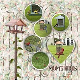 Thrifty Things - Holly Days Watercolor Papers