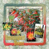 Thrifty Things - Holly Days Watercolor Papers