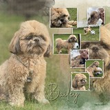 Artistic License Musings - Part 3