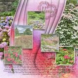 Atelier Art - Charming Carnation Bundle