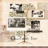 Memory Lane Collection