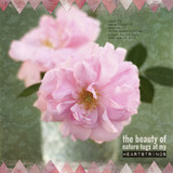 Memory Lane Collection