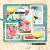 Memory Lane Collection