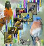 Artistic License Musings - Part 2