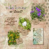 Memory Lane Masks and Effects Set 2