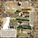 BorderMania - Watercolor