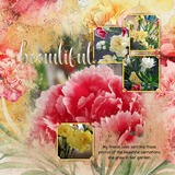 Atelier Art - Charming Carnation Bundle