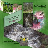 Together FOREVER - June 2025 Papers