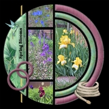 Together FOREVER - June 2025 Papers