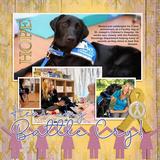 Cancer Fighter Enhanced Photo Clusters