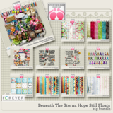Beneath The Storm, Hope Still Floats Big Bundle