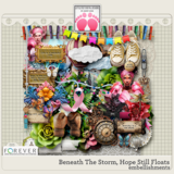 Beneath The Storm, Hope Still Floats Big Bundle