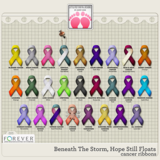 Beneath The Storm, Hope Still Floats Big Bundle